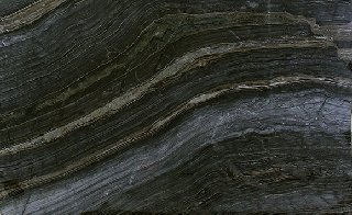 Forest black