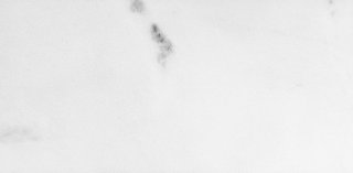 Bianco canaria 4